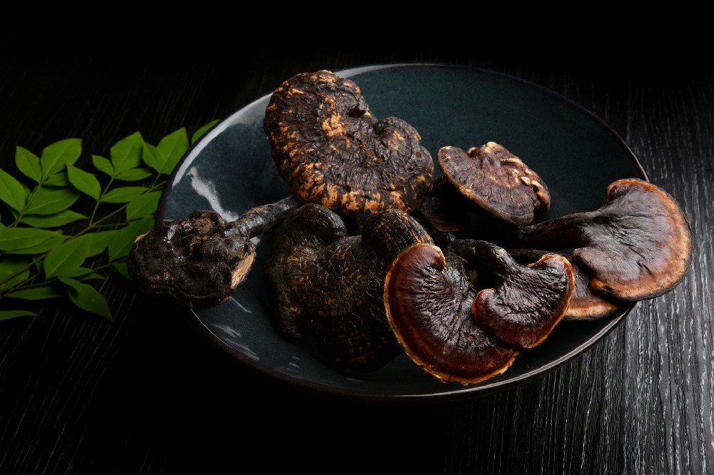 摄图网_500670453_banner_名贵中药材灵芝补品（企业商用）.jpg